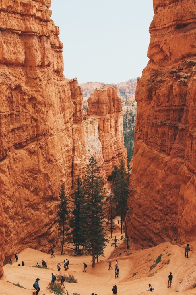 group of people hiking in canyon during daytime