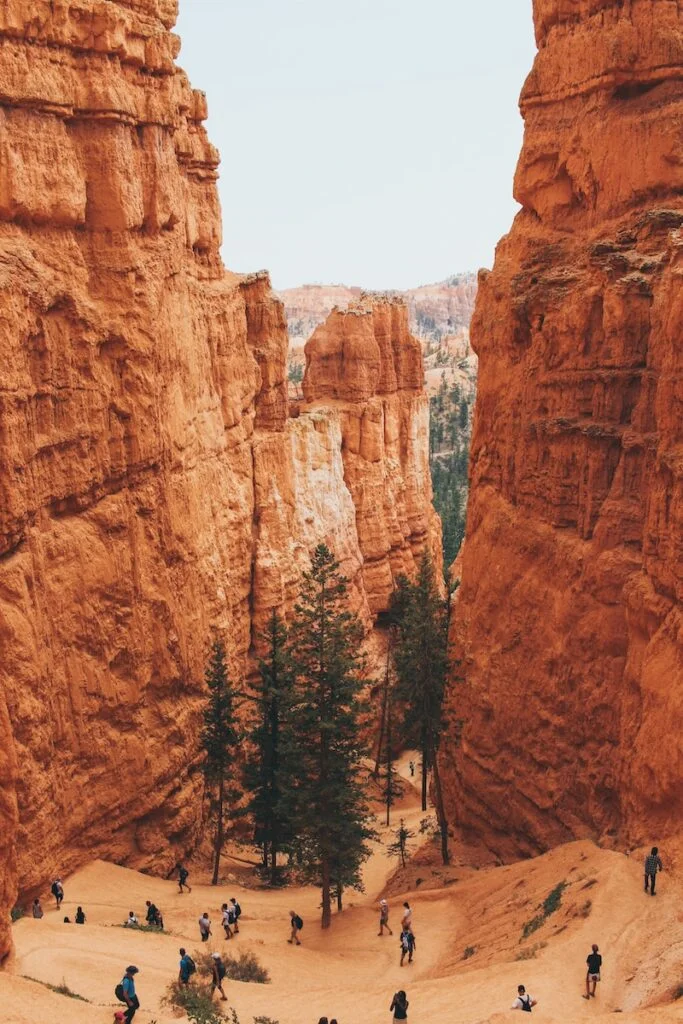 group of people hiking in canyon during daytime