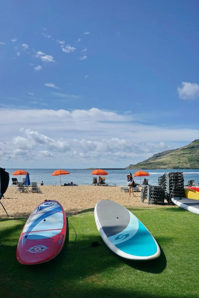 a couple of surfboards sitting on top of a lush green field